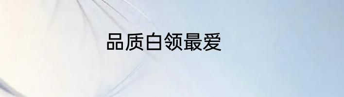 品质白领最爱