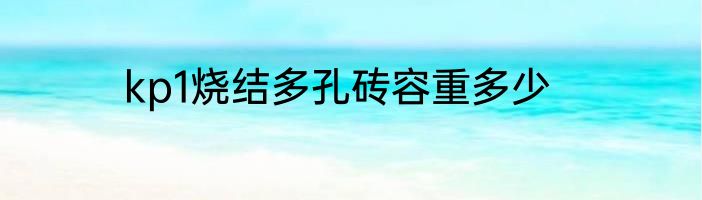 kp1烧结多孔砖容重多少