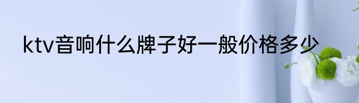 ktv音响什么牌子好一般价格多少