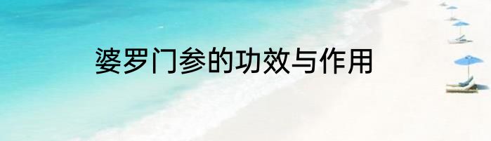 婆罗门参的功效与作用