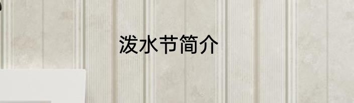 泼水节简介