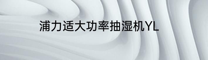 浦力适大功率抽湿机YL