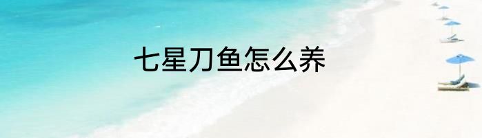 七星刀鱼怎么养