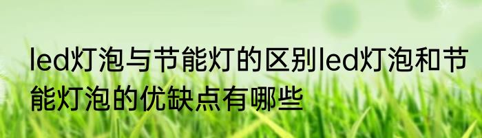 led灯泡与节能灯的区别led灯泡和节能灯泡的优缺点有哪些
