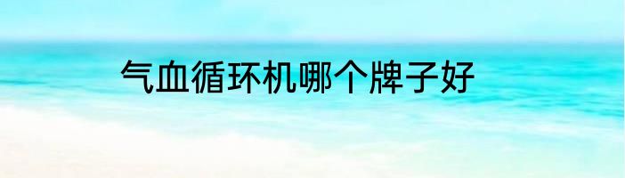 气血循环机哪个牌子好