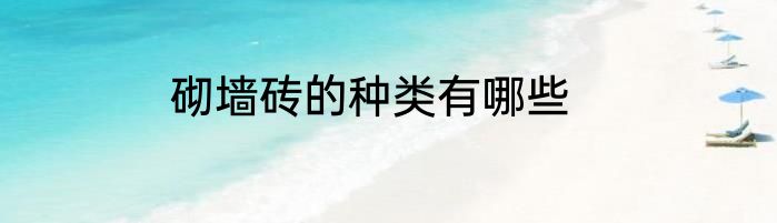 砌墙砖的种类有哪些