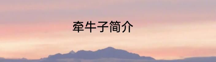 牵牛子简介