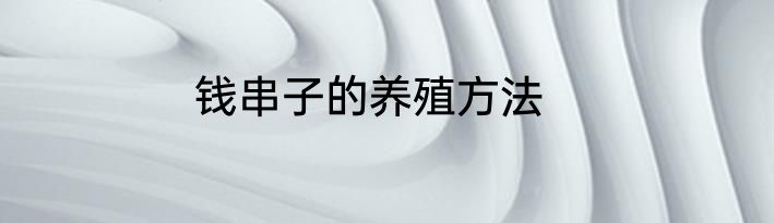 钱串子的养殖方法