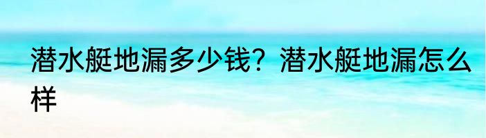 潜水艇地漏多少钱？潜水艇地漏怎么样
