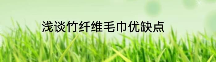 浅谈竹纤维毛巾优缺点