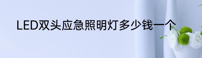 LED双头应急照明灯多少钱一个