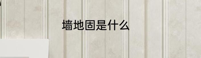 墙地固是什么