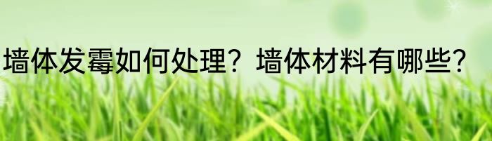 墙体发霉如何处理？墙体材料有哪些？