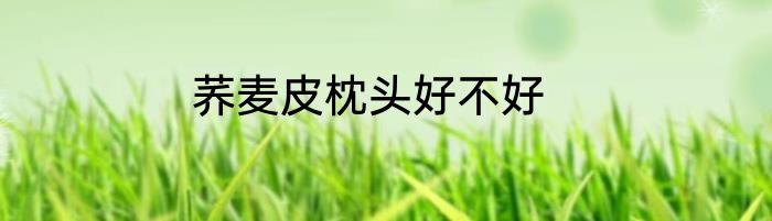 荞麦皮枕头好不好