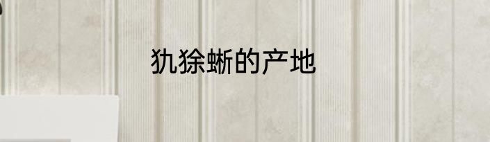 犰狳蜥的产地