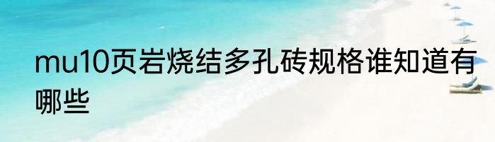 mu10页岩烧结多孔砖规格谁知道有哪些