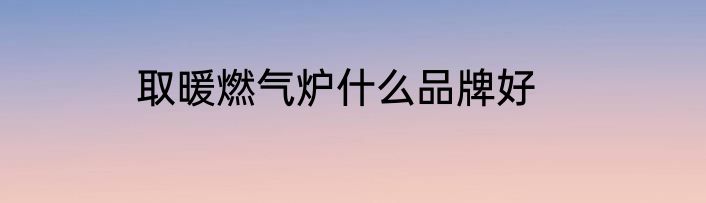 取暖燃气炉什么品牌好