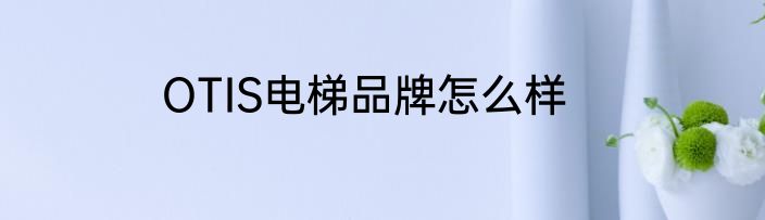 OTIS电梯品牌怎么样