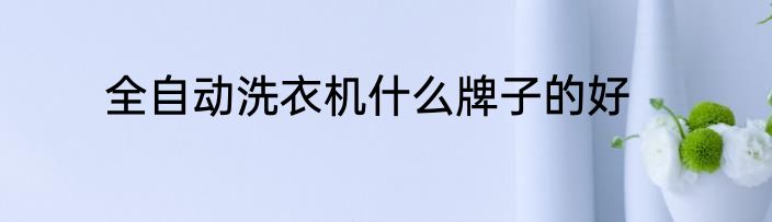 全自动洗衣机什么牌子的好