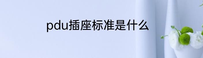 pdu插座标准是什么