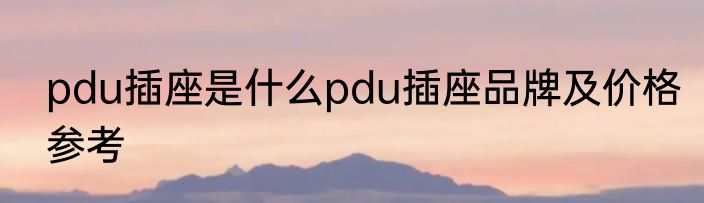 pdu插座是什么pdu插座品牌及价格参考