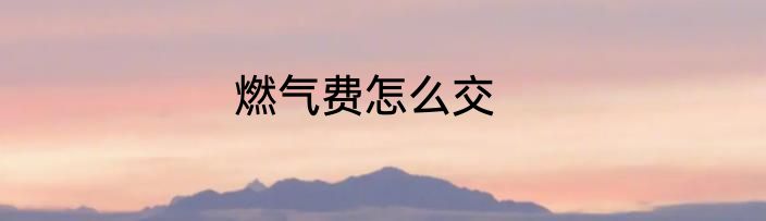 燃气费怎么交
