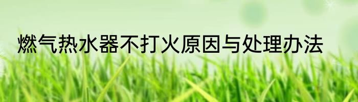 燃气热水器不打火原因与处理办法