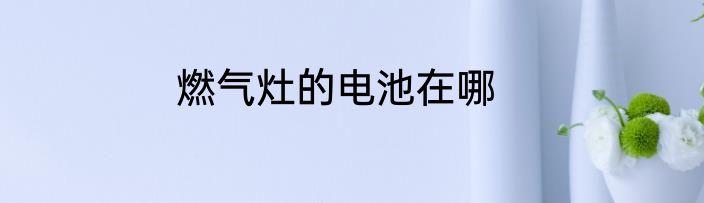 燃气灶的电池在哪