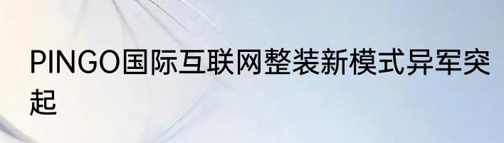 PINGO国际互联网整装新模式异军突起