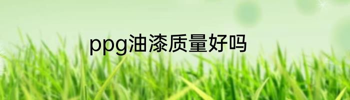 ppg油漆质量好吗