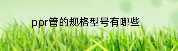 ppr管的规格型号有哪些