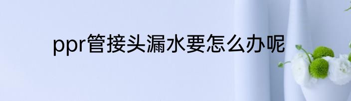 ppr管接头漏水要怎么办呢