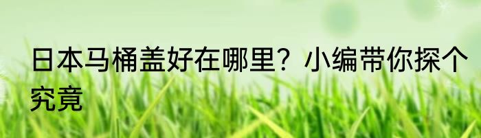 日本马桶盖好在哪里？小编带你探个究竟