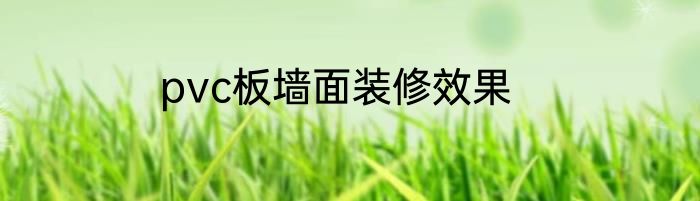 pvc板墙面装修效果
