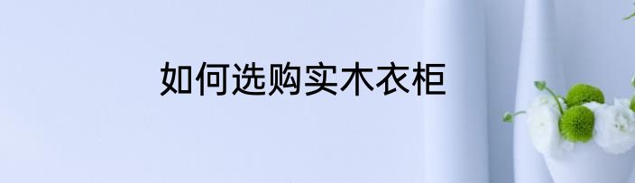 如何选购实木衣柜