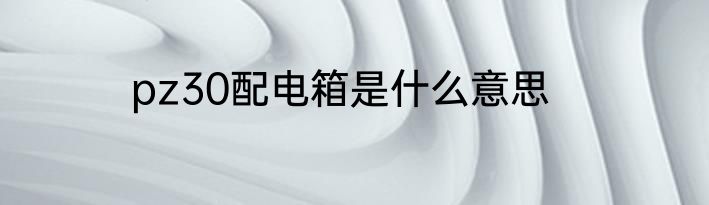 pz30配电箱是什么意思
