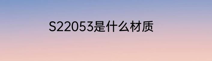 S22053是什么材质