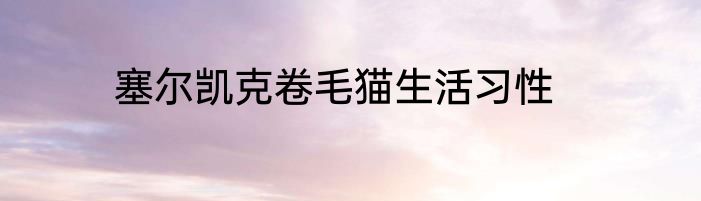 塞尔凯克卷毛猫生活习性