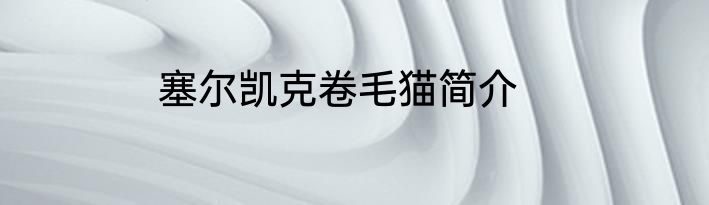 塞尔凯克卷毛猫简介
