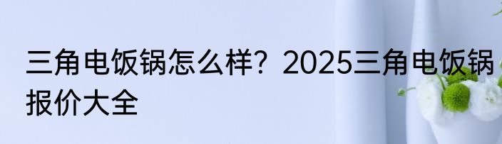 三角电饭锅怎么样？2025三角电饭锅报价大全