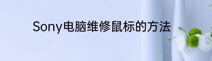 Sony电脑维修鼠标的方法