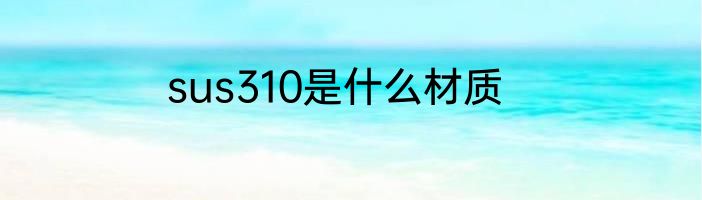 sus310是什么材质