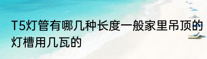 T5灯管有哪几种长度一般家里吊顶的灯槽用几瓦的