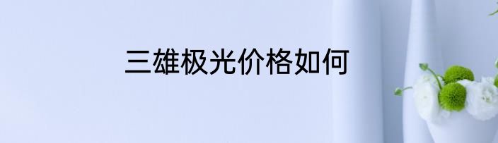 三雄极光价格如何