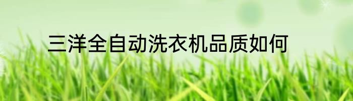 三洋全自动洗衣机品质如何