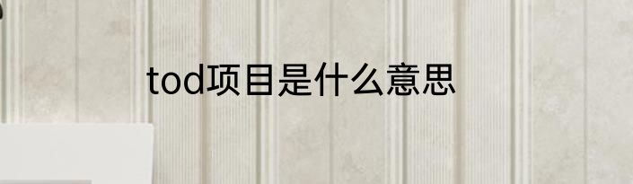tod项目是什么意思