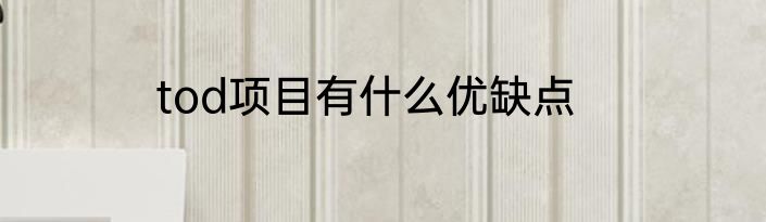 tod项目有什么优缺点