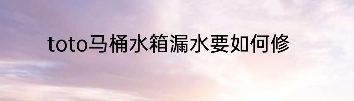 toto马桶水箱漏水要如何修