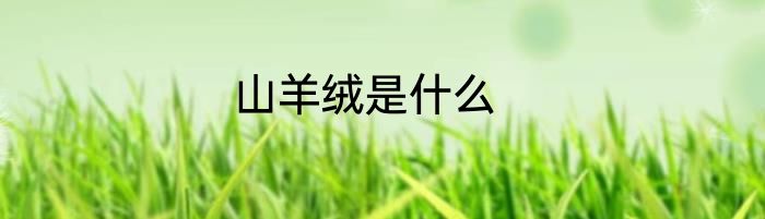 山羊绒是什么
