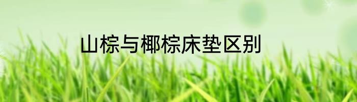 山棕与椰棕床垫区别
